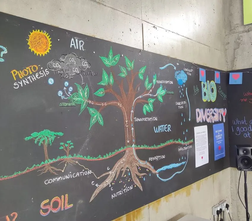 Colourful chalk mural about nature and biodiversity